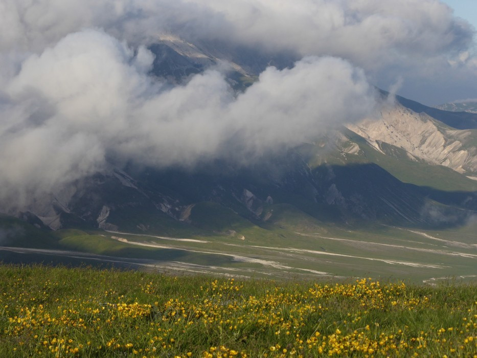 D Campo I (11)
