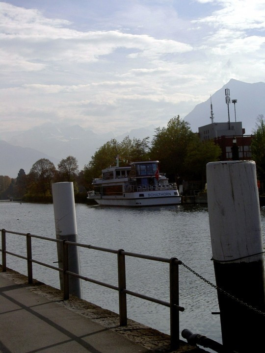 Thun am Thunersee und Schwarze Schwäne