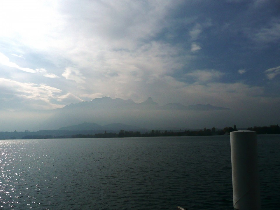 Thun am Thunersee und Schwarze Schwäne