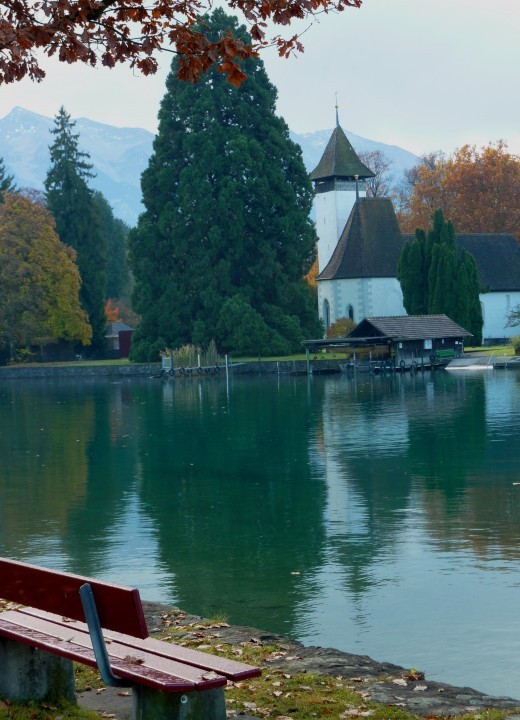 Thun am Thunersee und Schwarze Schwäne