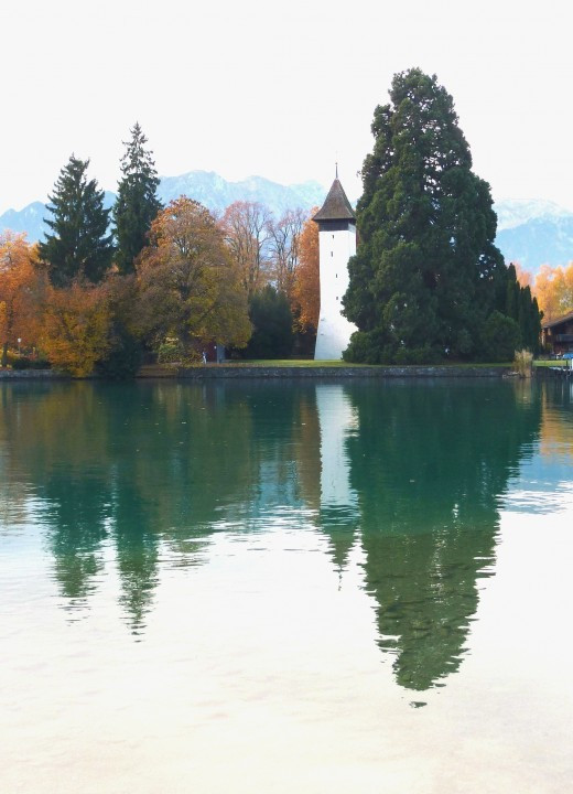 Thun am Thunersee und Schwarze Schwäne