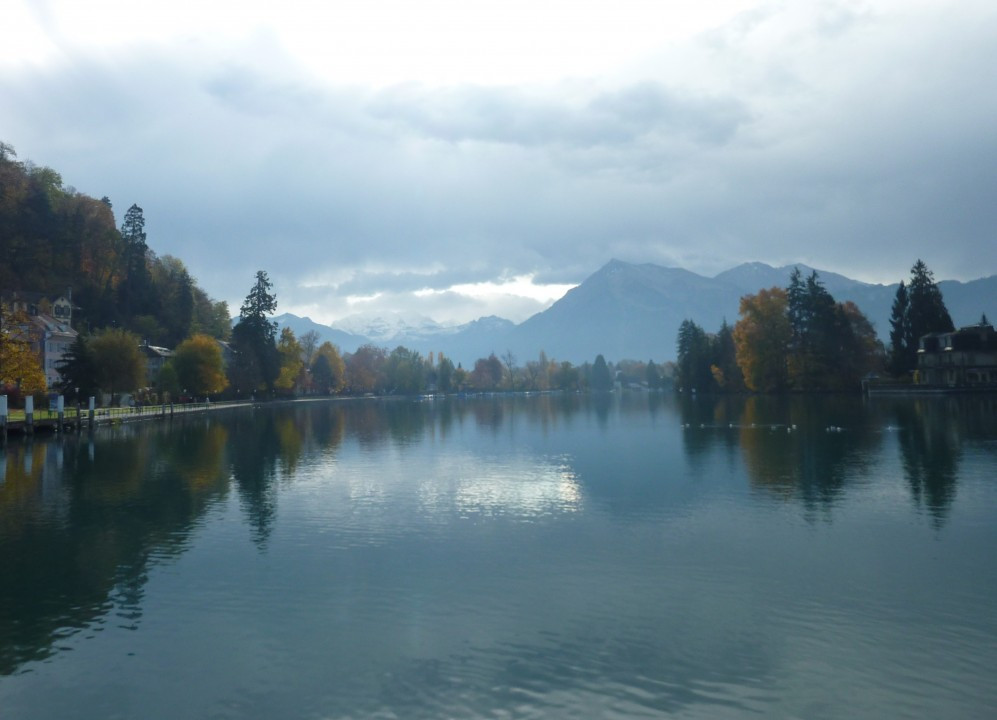 Thun am Thunersee und Schwarze Schwäne