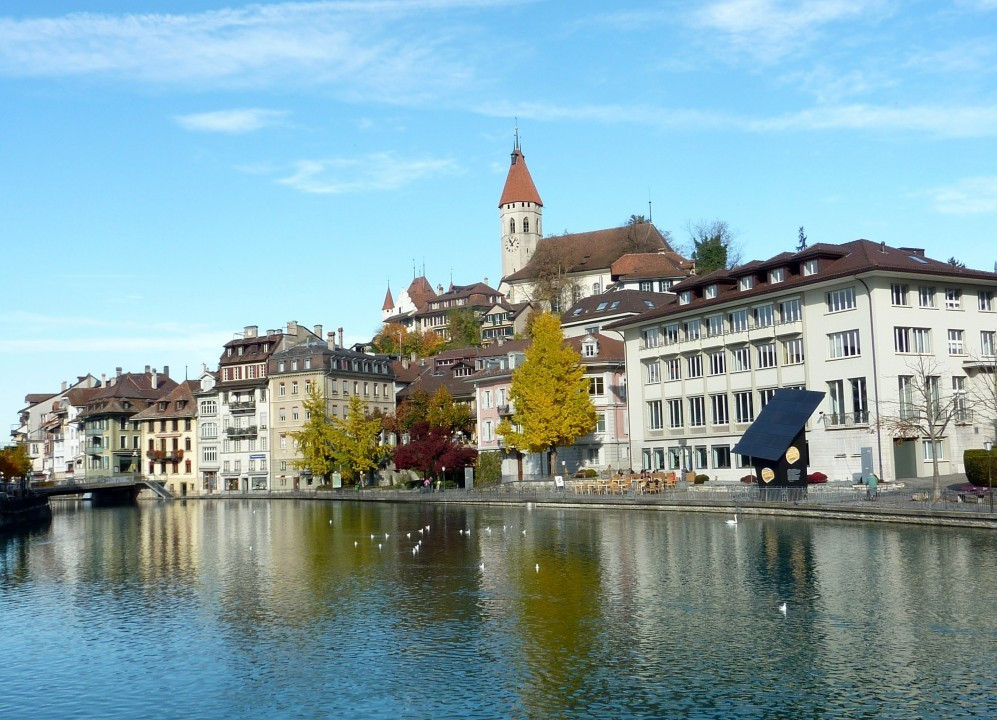 Thun am Thunersee und Schwarze Schwäne