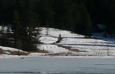 ?random=720819682&maxWidth=0&embedded=0#imageAnker_44810