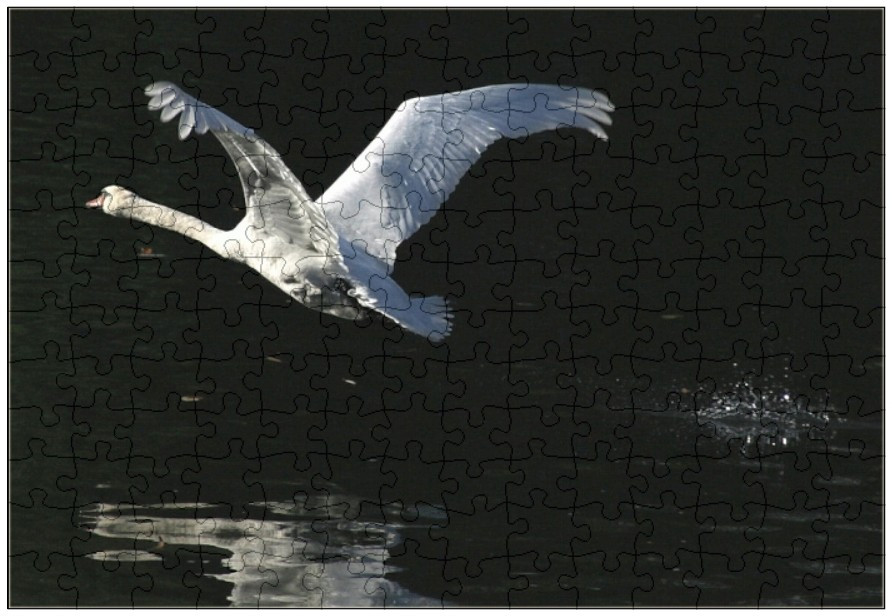 ?random=183601961&maxWidth=0&embedded=0#imageAnker_44916