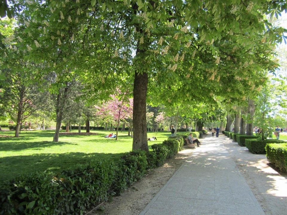 Madrid_Retiro Park_02