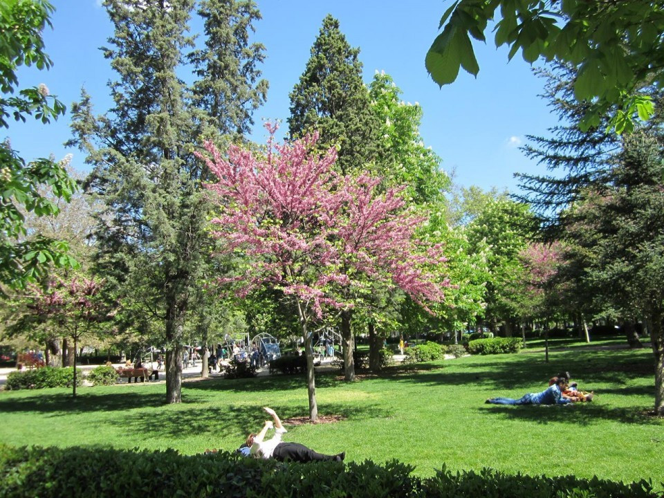 Madrid_Retiro Park_04