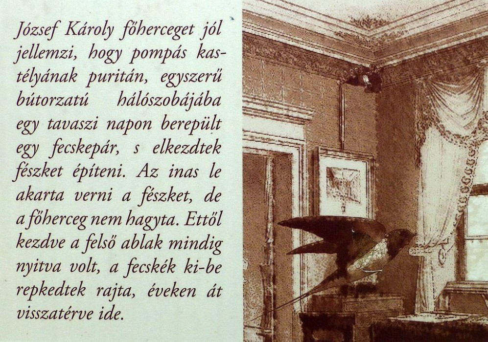 Alcsút, Schloss, Schwalbennest im Schlafzimmer