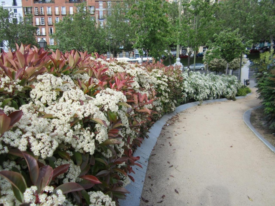 Madrid_Sonstiges  11