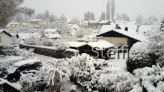 Winterlandschaft am Bodensee
