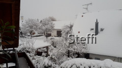 Winterlandschaft am Bodensee