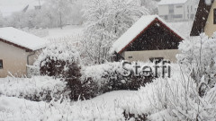 Winterlandschaft am Bodensee