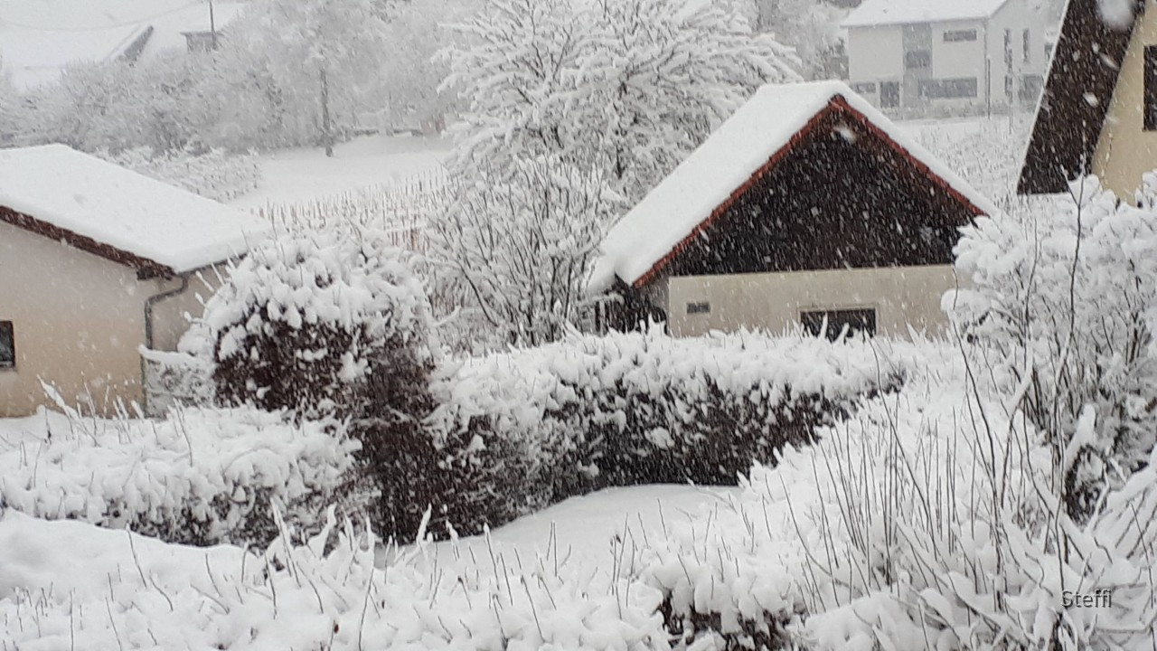 Winterlandschaft am Bodensee