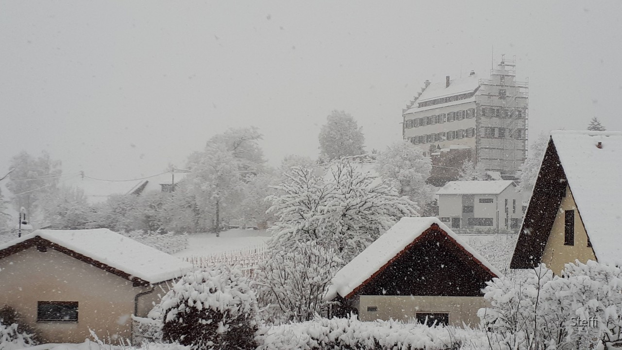Winterlandschaft am Bodensee