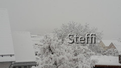 Winterlandschaft am Bodensee