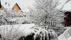 Winterlandschaft am Bodensee