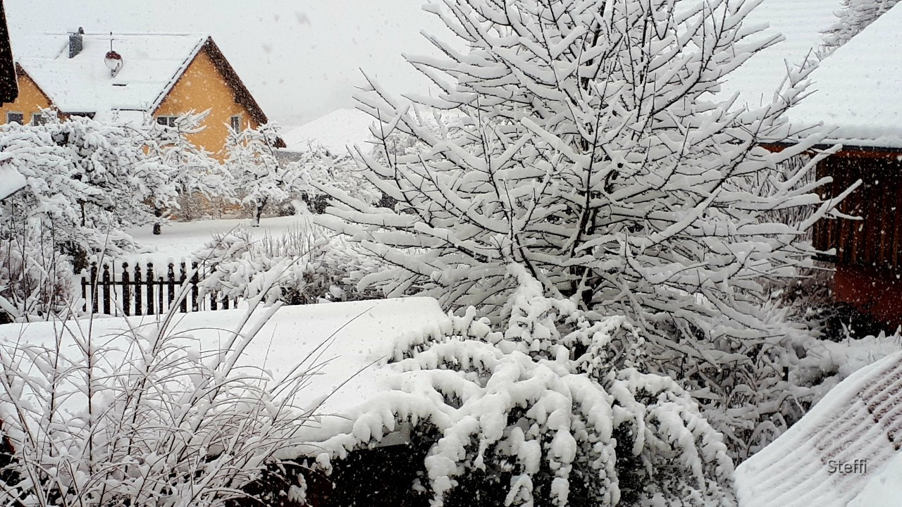Winterlandschaft am Bodensee