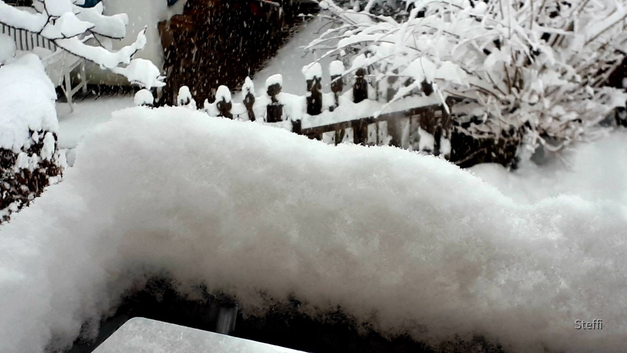 Winterlandschaft am Bodensee