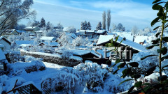 Winterlandschaft am Bodensee (1)