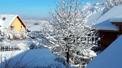 Winterlandschaft am Bodensee (3)