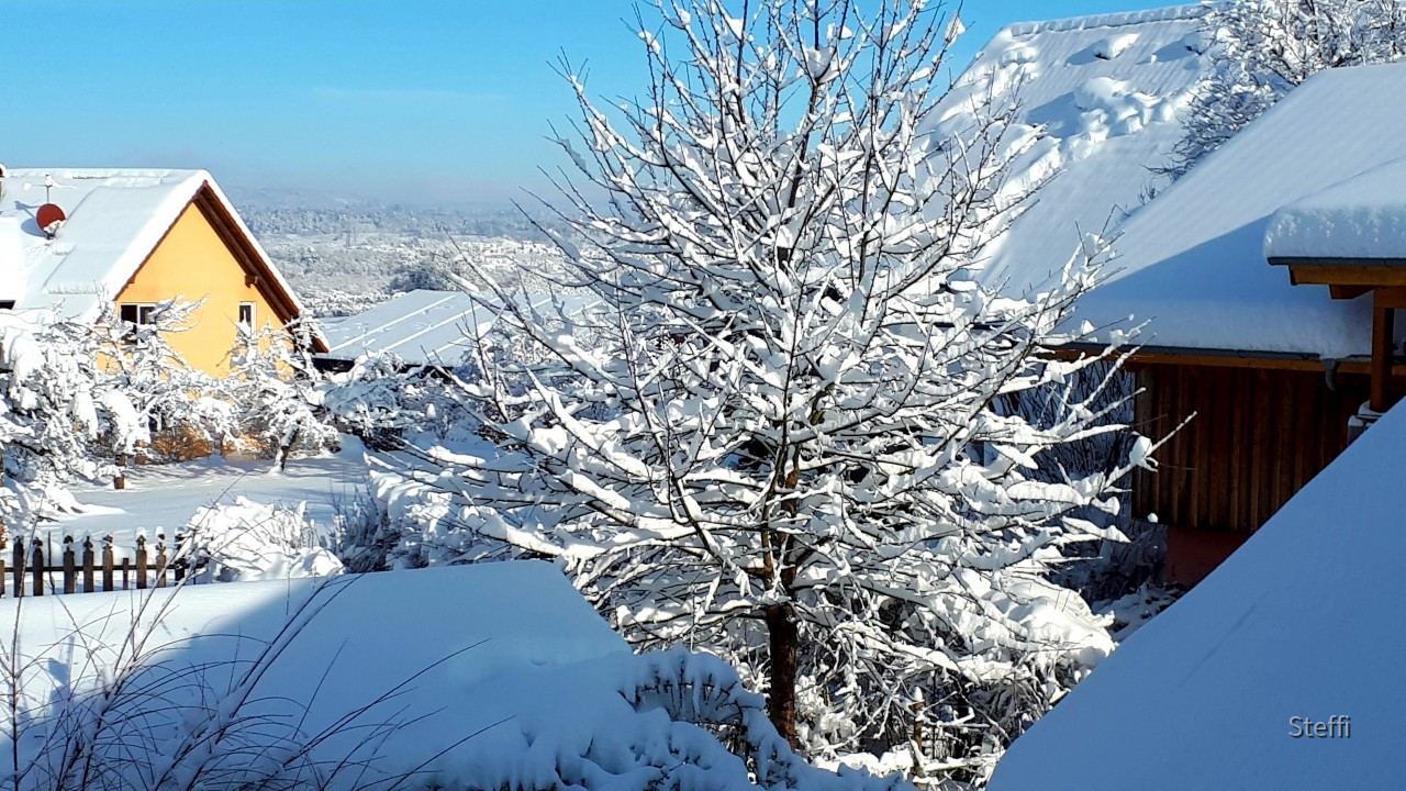 Winterlandschaft am Bodensee (3)