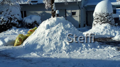 Winterlandschaft am Bodensee (8)