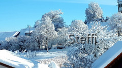Winterlandschaft am Bodensee (5)