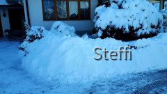 Winterlandschaft am Bodensee (10)