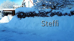 Winterlandschaft am Bodensee (7)