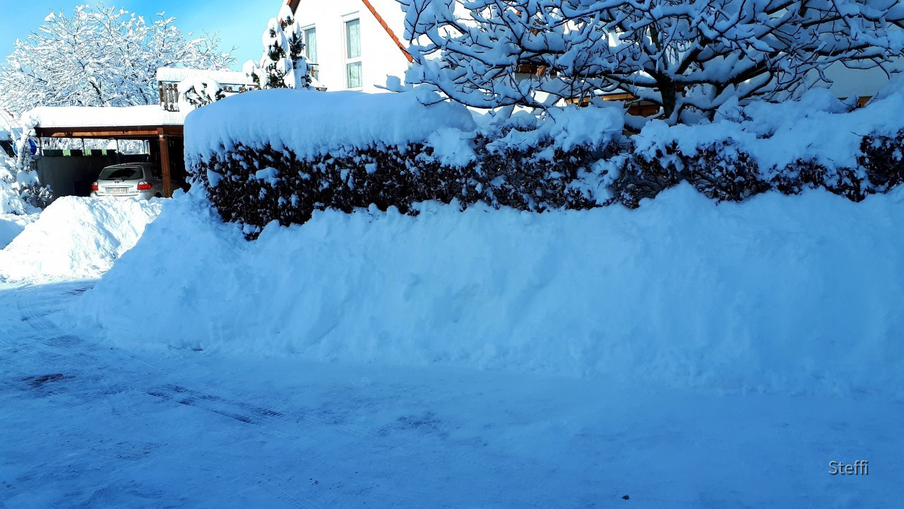 Winterlandschaft am Bodensee (7)