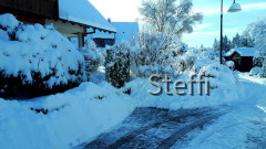Winterlandschaft am Bodensee (9)
