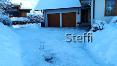 Winterlandschaft am Bodensee (11)