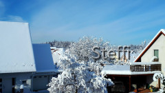 Winterlandschaft am Bodensee (12)