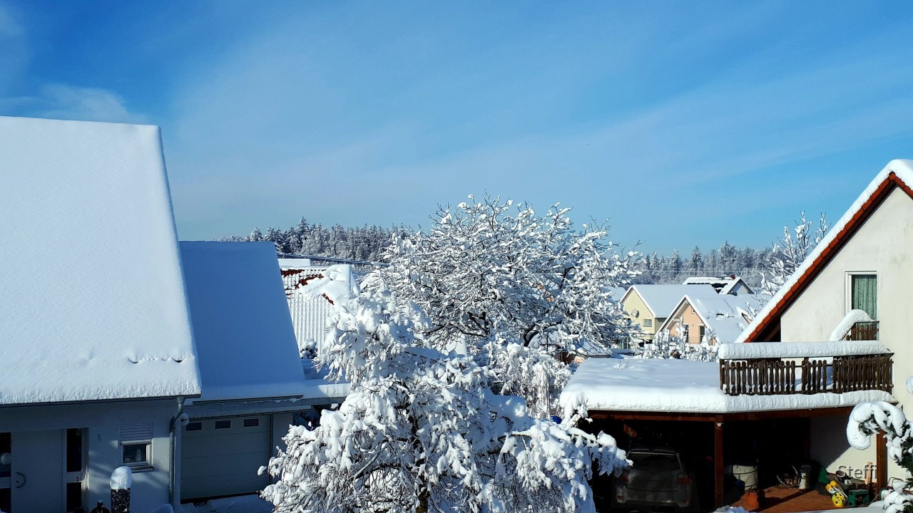 Winterlandschaft am Bodensee (12)