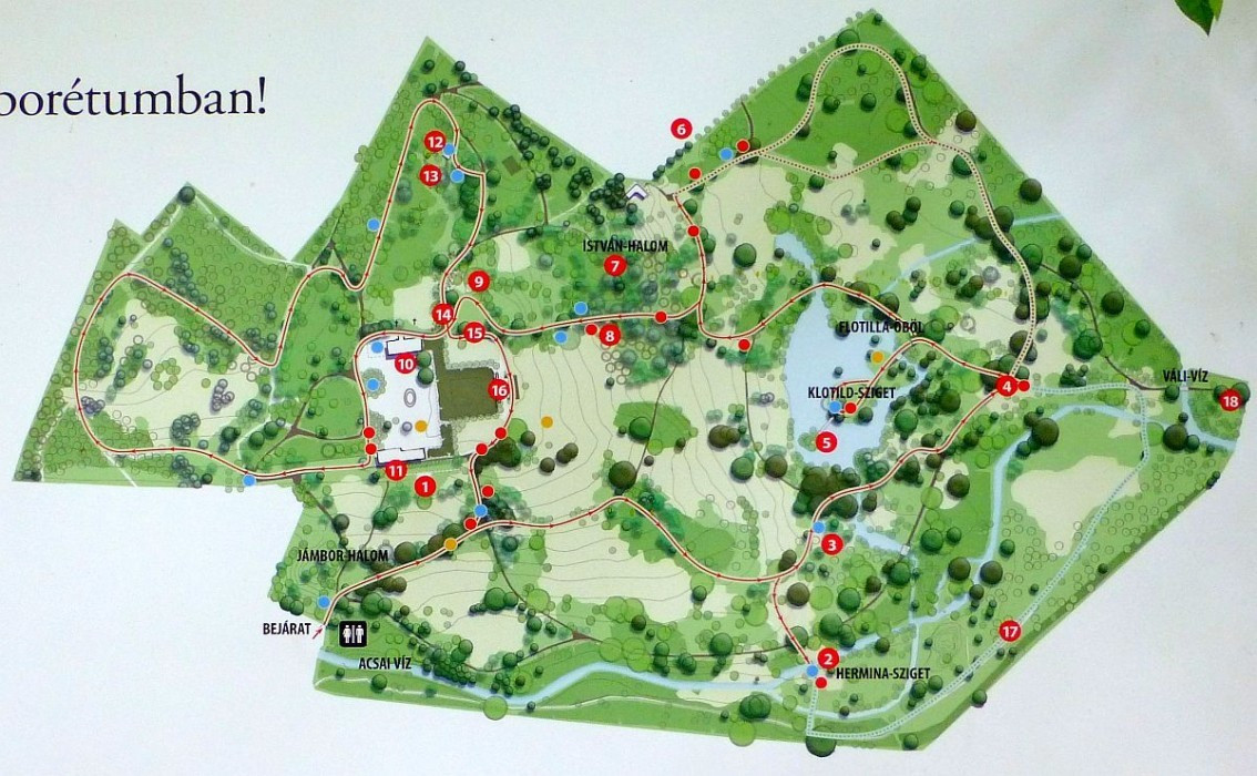 Alcsútdoboz, Arboretum, Plan