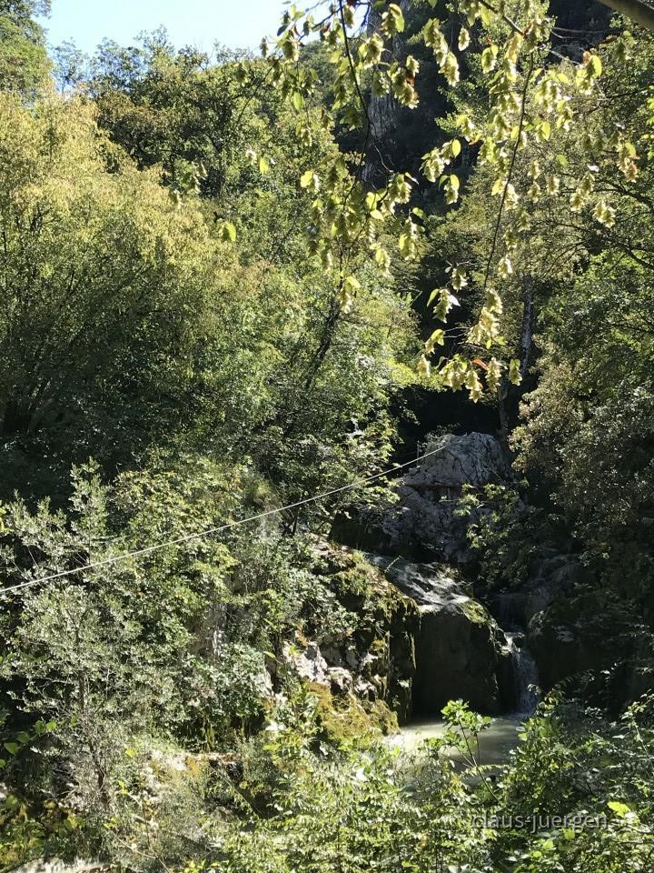 ?random=976442737&maxWidth=0&embedded=0&thumbnail=large