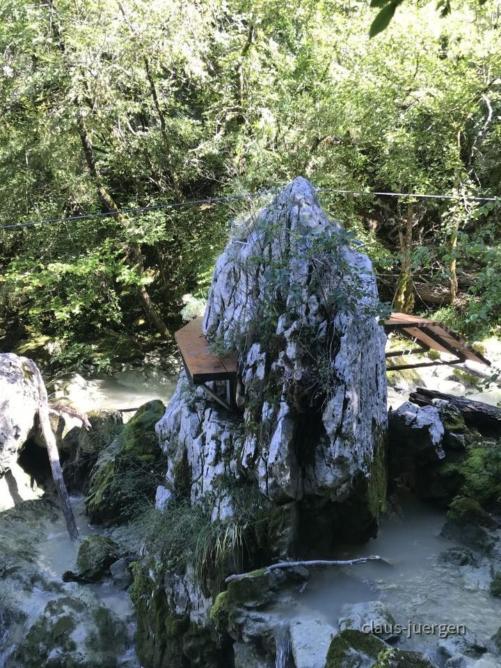 ?random=1330386562&maxWidth=0&embedded=0&thumbnail=large