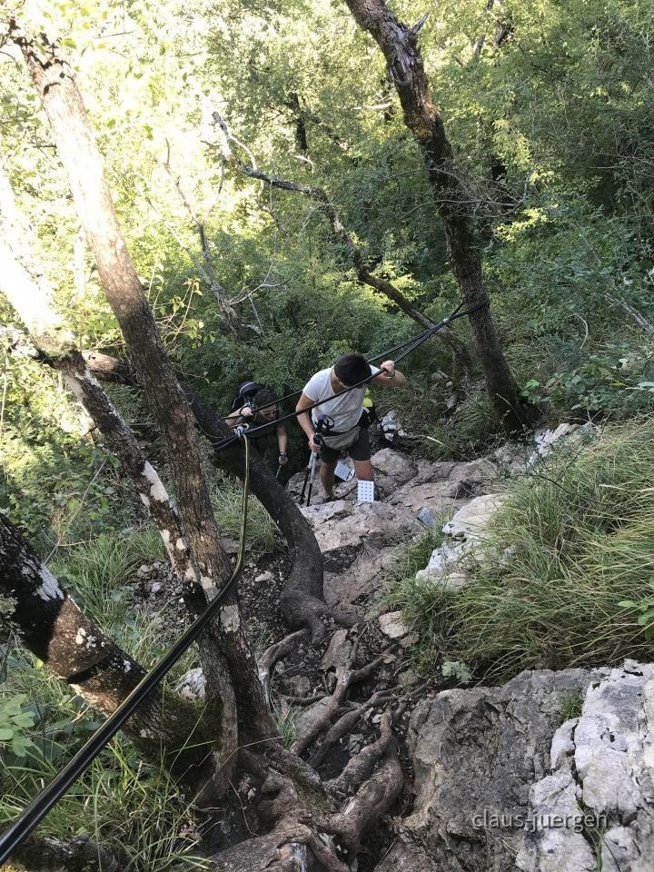 ?random=1613356655&maxWidth=0&embedded=0&thumbnail=large