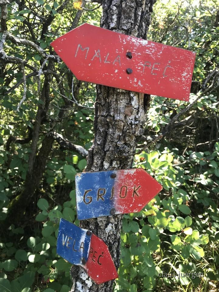 ?random=799589002&maxWidth=0&embedded=0&thumbnail=large