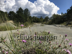 Buzet 7 Wasserfall Weg