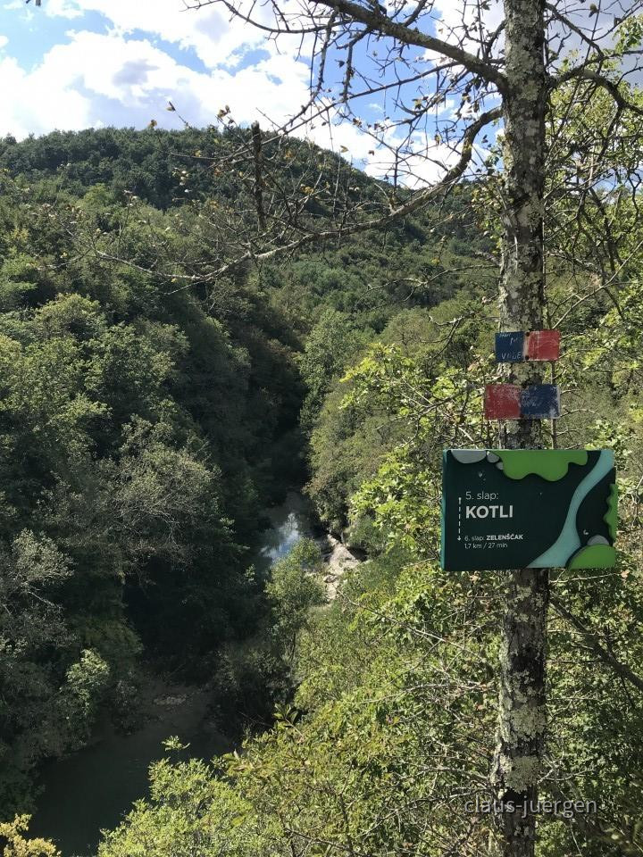 ?random=1784193916&maxWidth=0&embedded=0&thumbnail=large