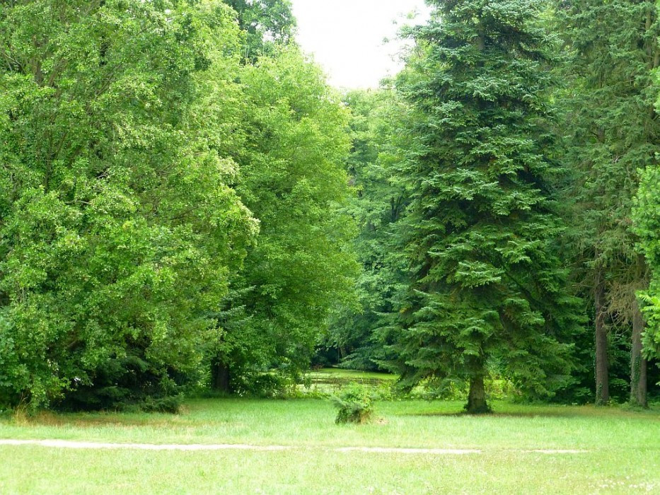 Alcsútdoboz, Arboretum,