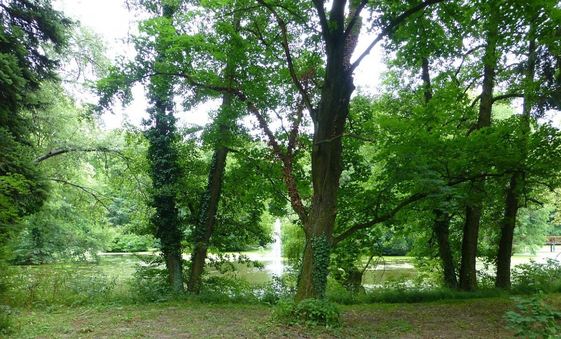 Alcsútdoboz, Arboretum, Teich