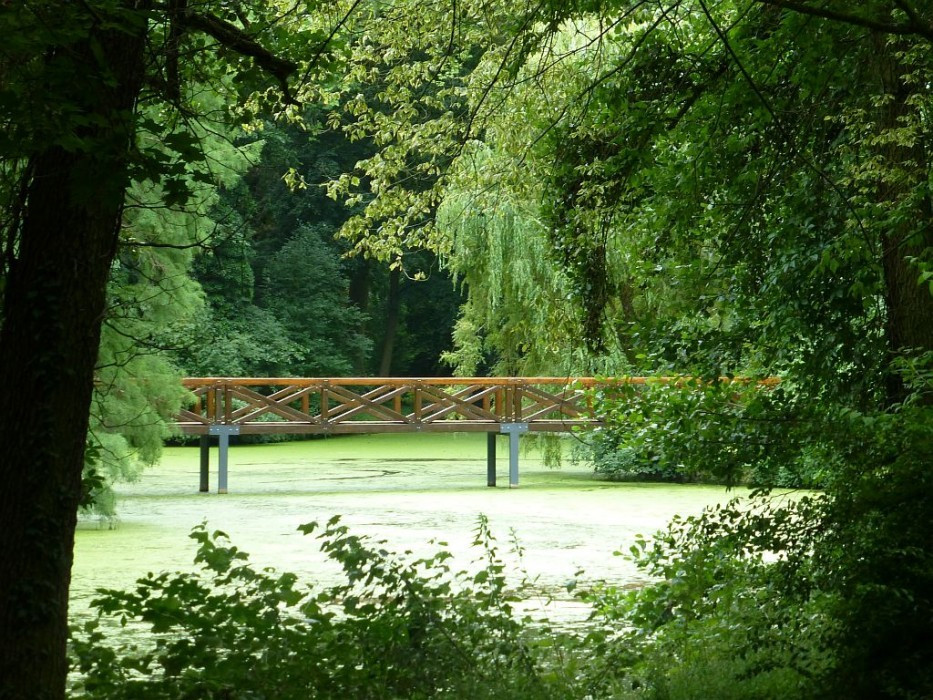 Alcsútdoboz, Arboretum, Teich mit Brücke