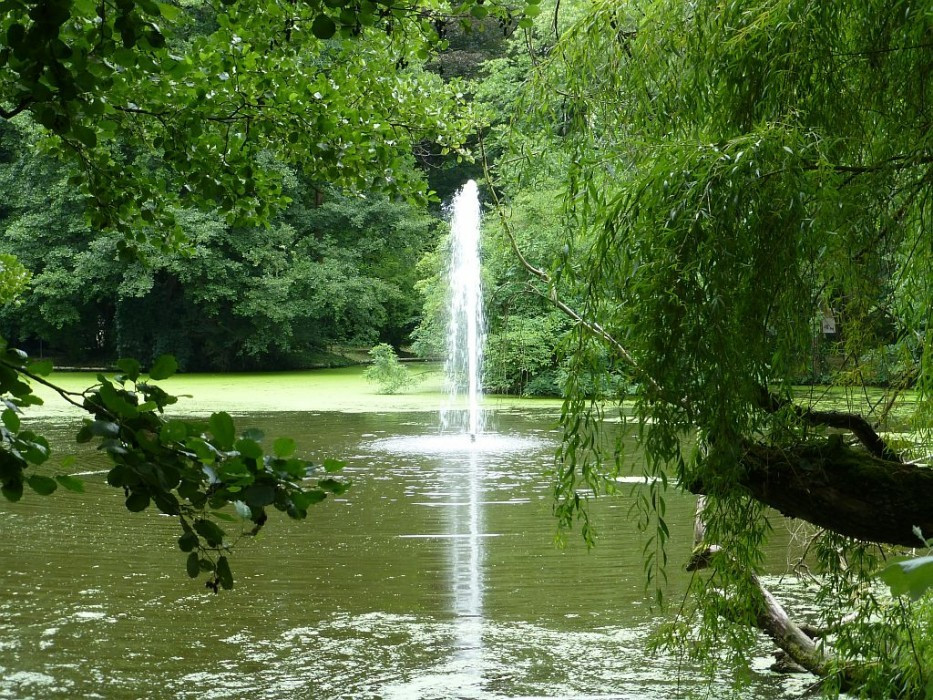 Alcsútdoboz, Arboretum, Teich mit Föntäne
