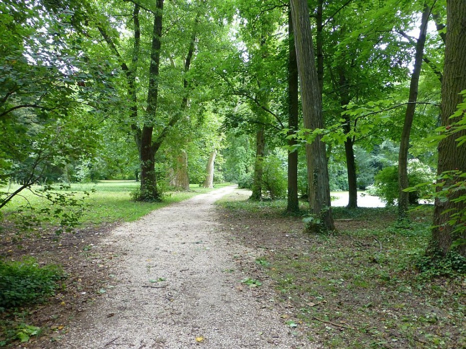 Alcsútdoboz, Arboretum,