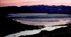 Grönland (1)