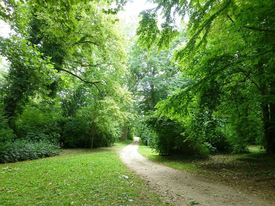 Alcsútdoboz, Arboretum