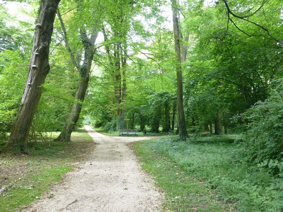 Alcsútdoboz, Arboretum