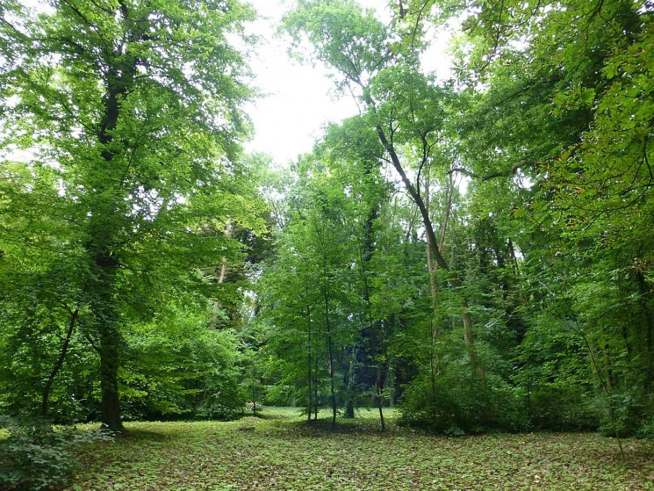 Alcsútdoboz, Arboretum